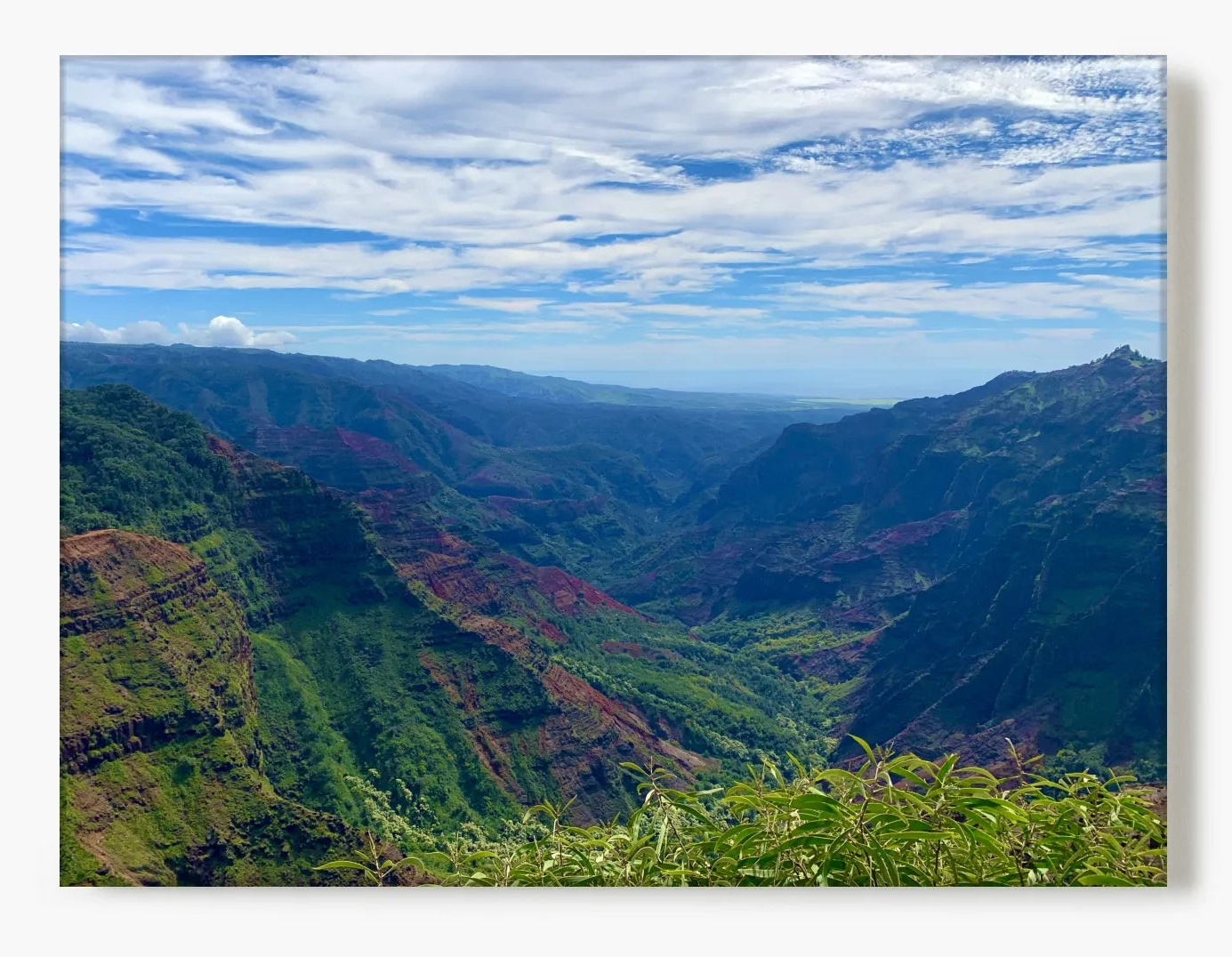 Trails & Sand Collection