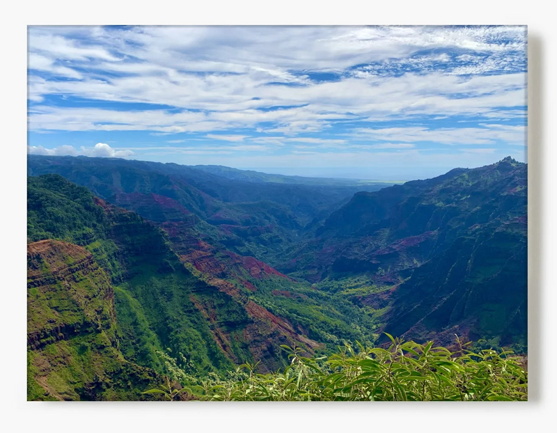 Trails & Sand Collection