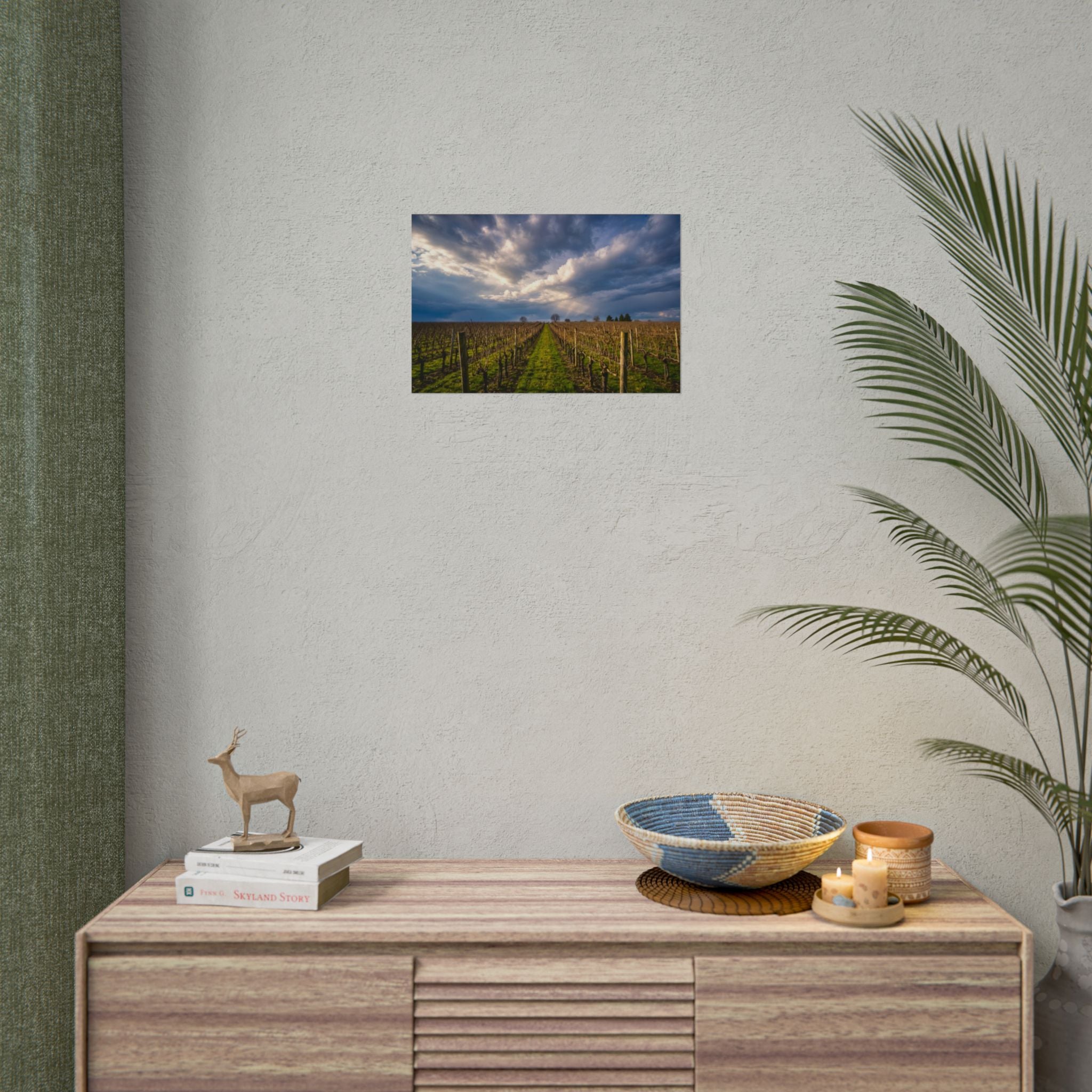 "Vineyard Solitude" - Sonoma, CA