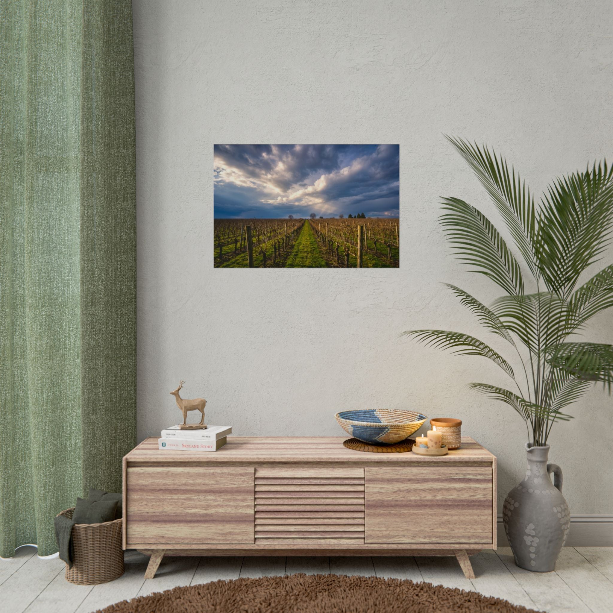 "Vineyard Solitude" - Sonoma, CA