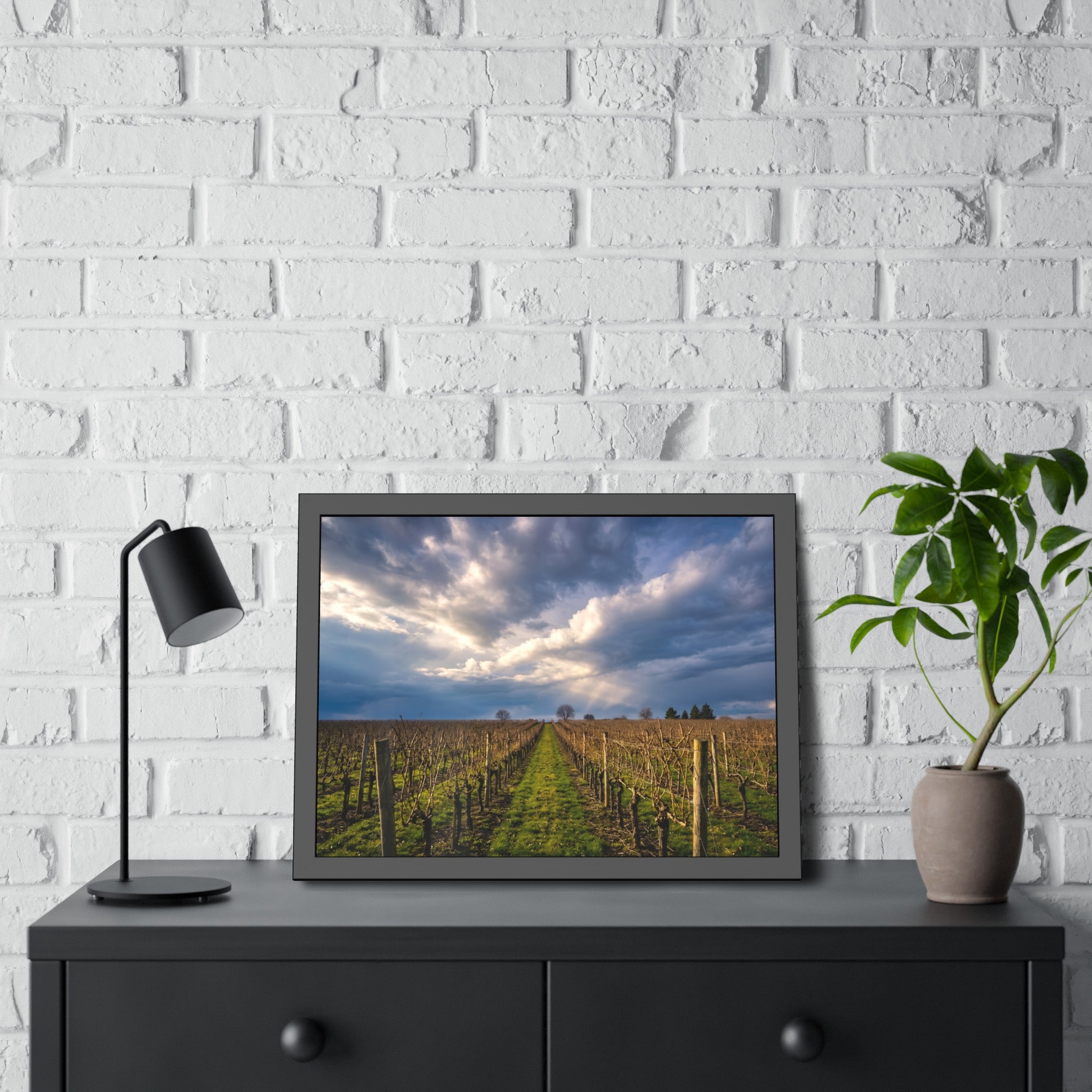 "Vineyard Solitude" - Sonoma, CA