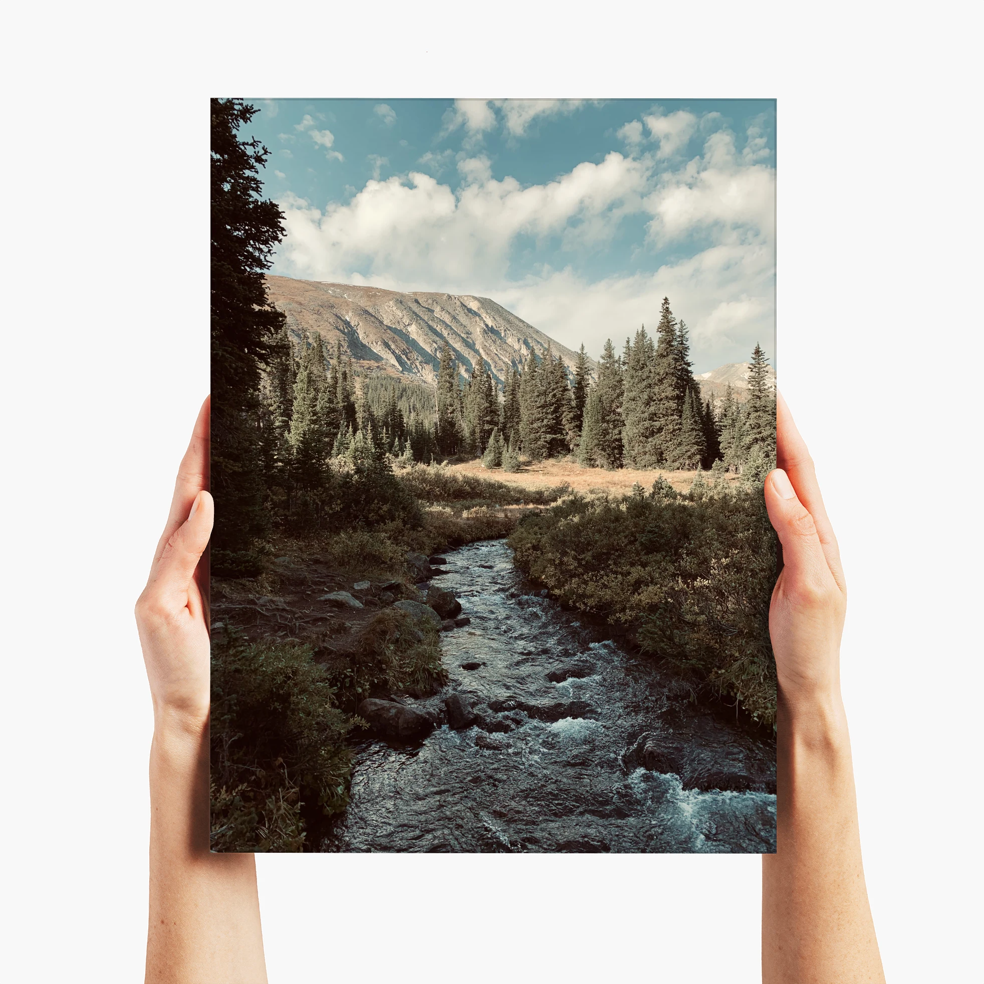 Glacier Lake Stream - Idaho Springs, CO