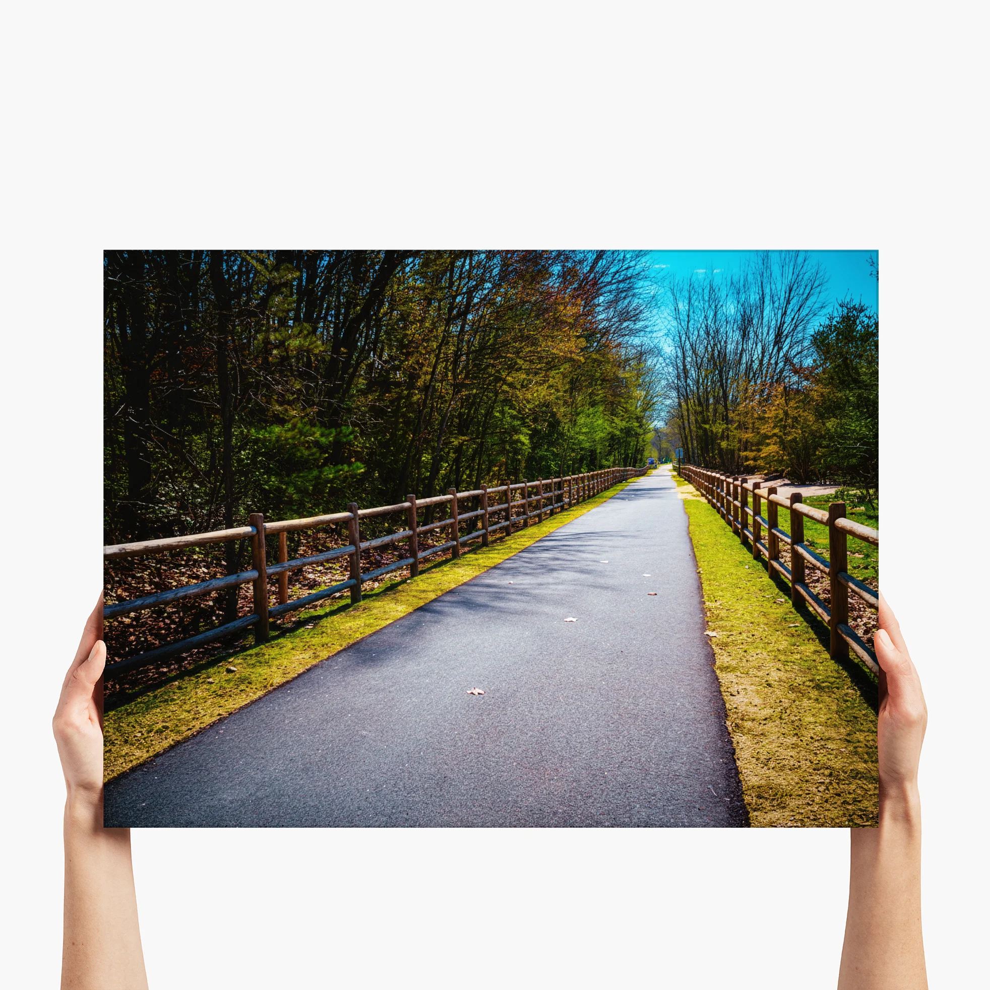 The Guided Path - Manchester, NH