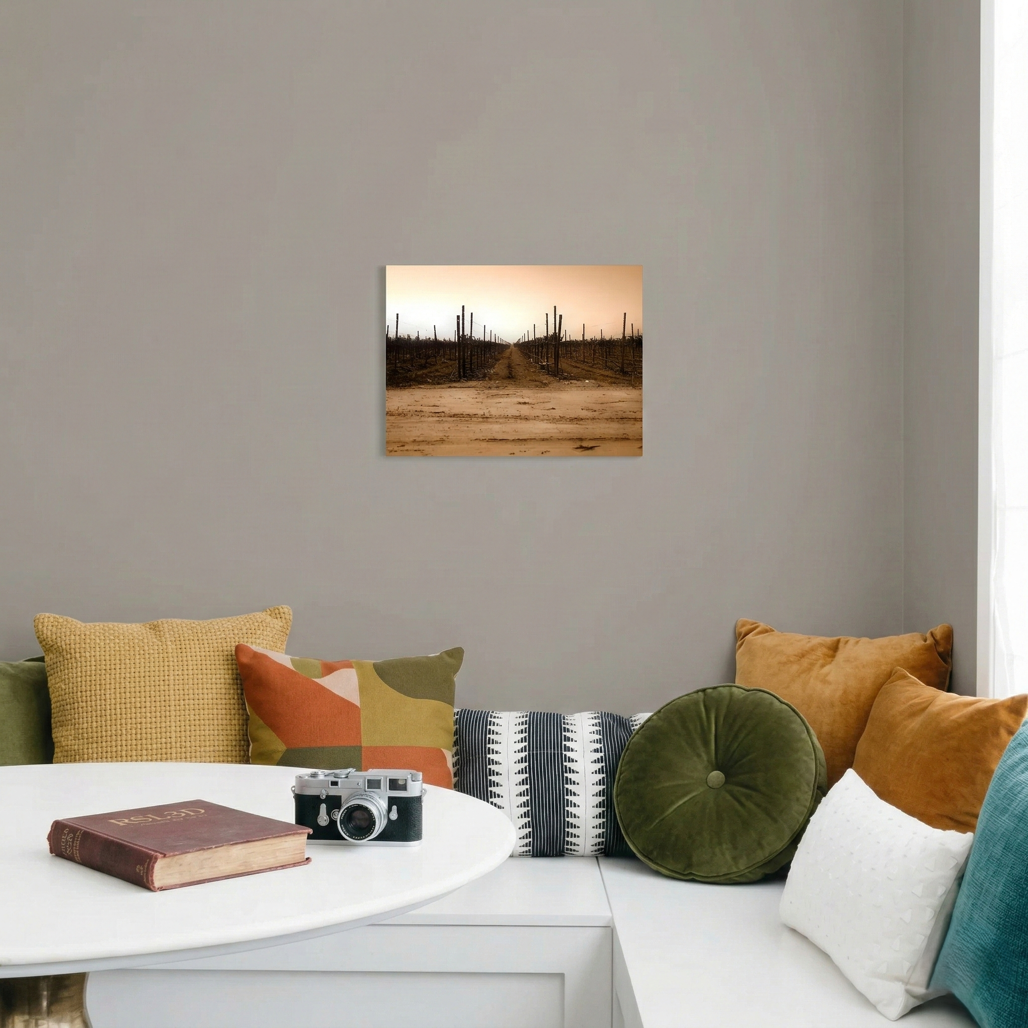 The Vineyard Window - Napa Valley, CA