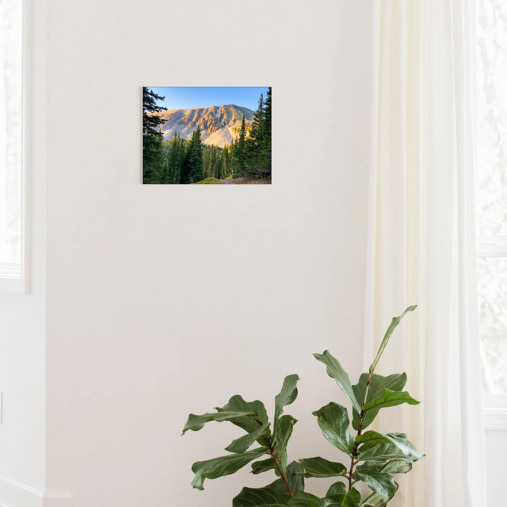 "Timberline Horizon" - Idaho Springs, CO
