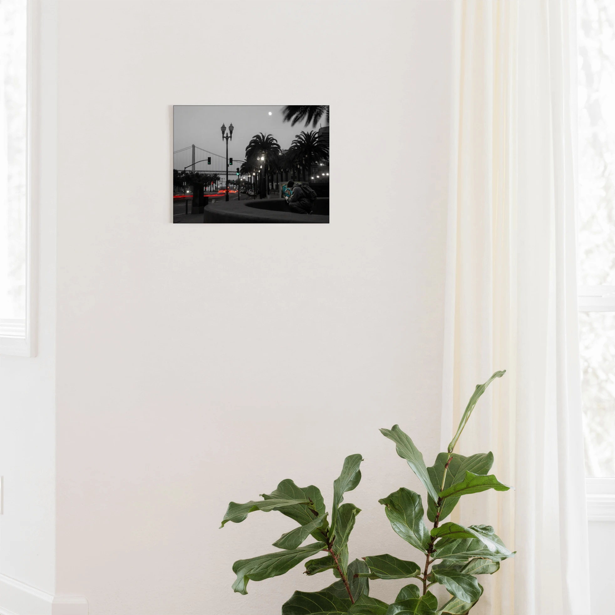 Static & Speed - San Francisco, CA