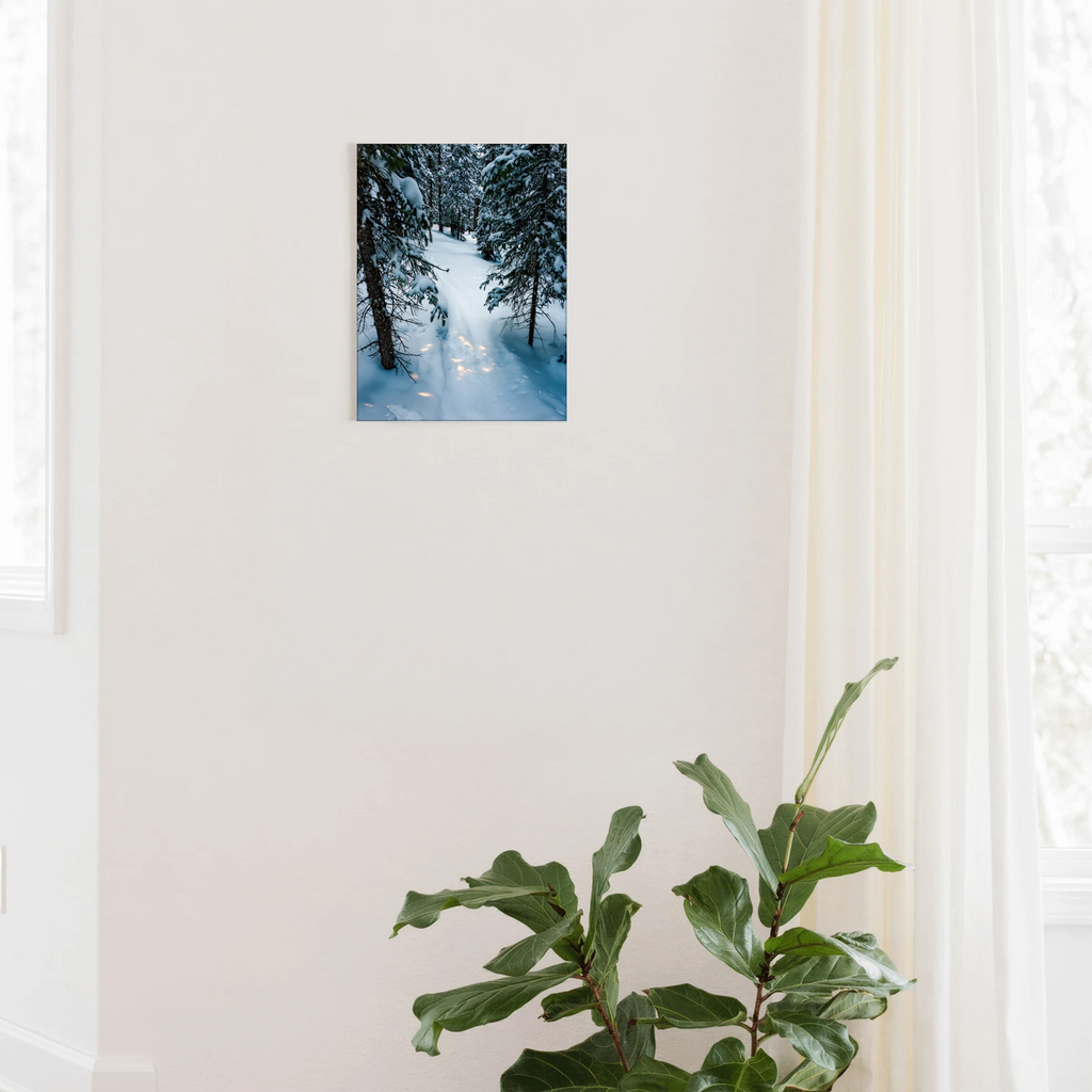 Alpine Silence - Telluride, CO