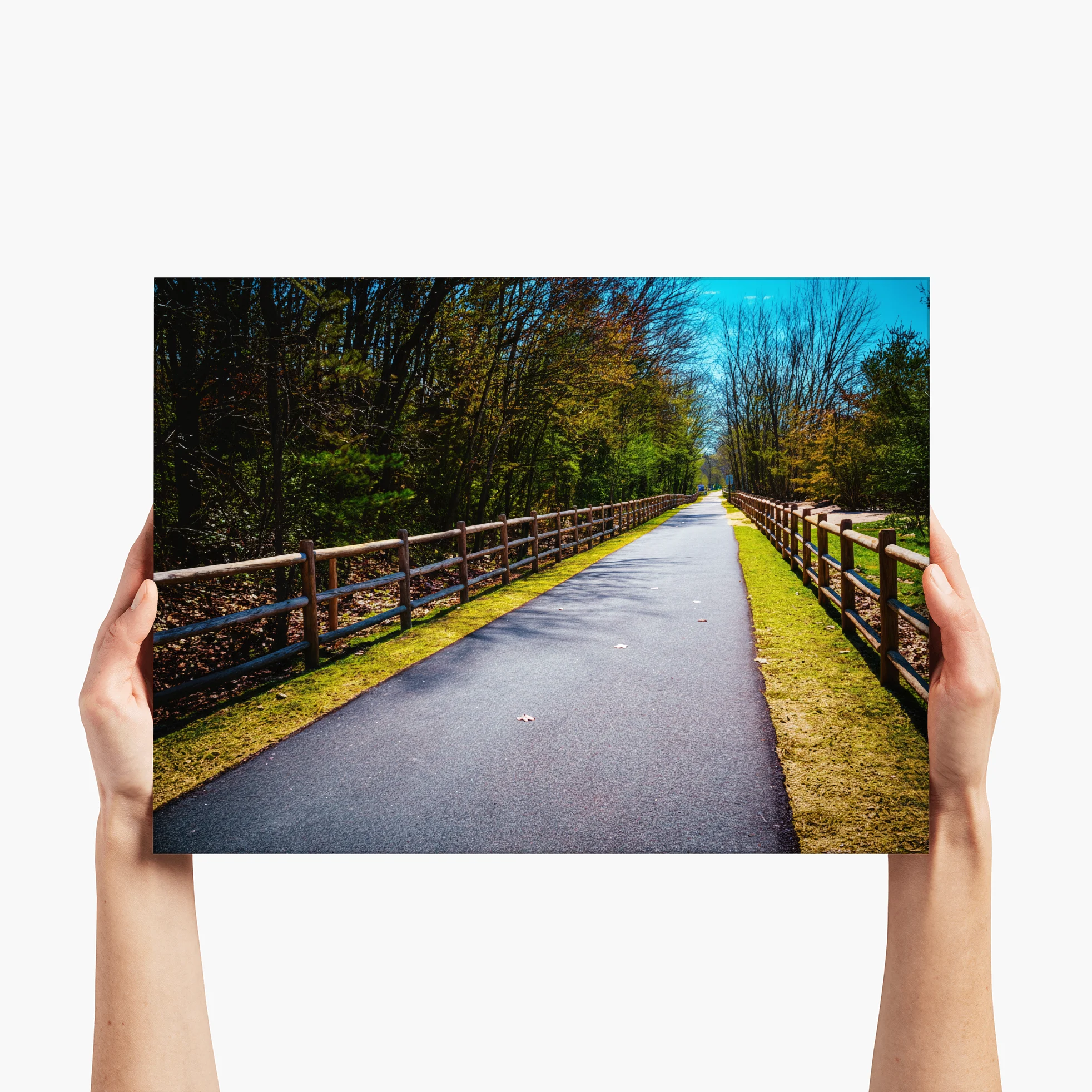 The Guided Path - Manchester, NH