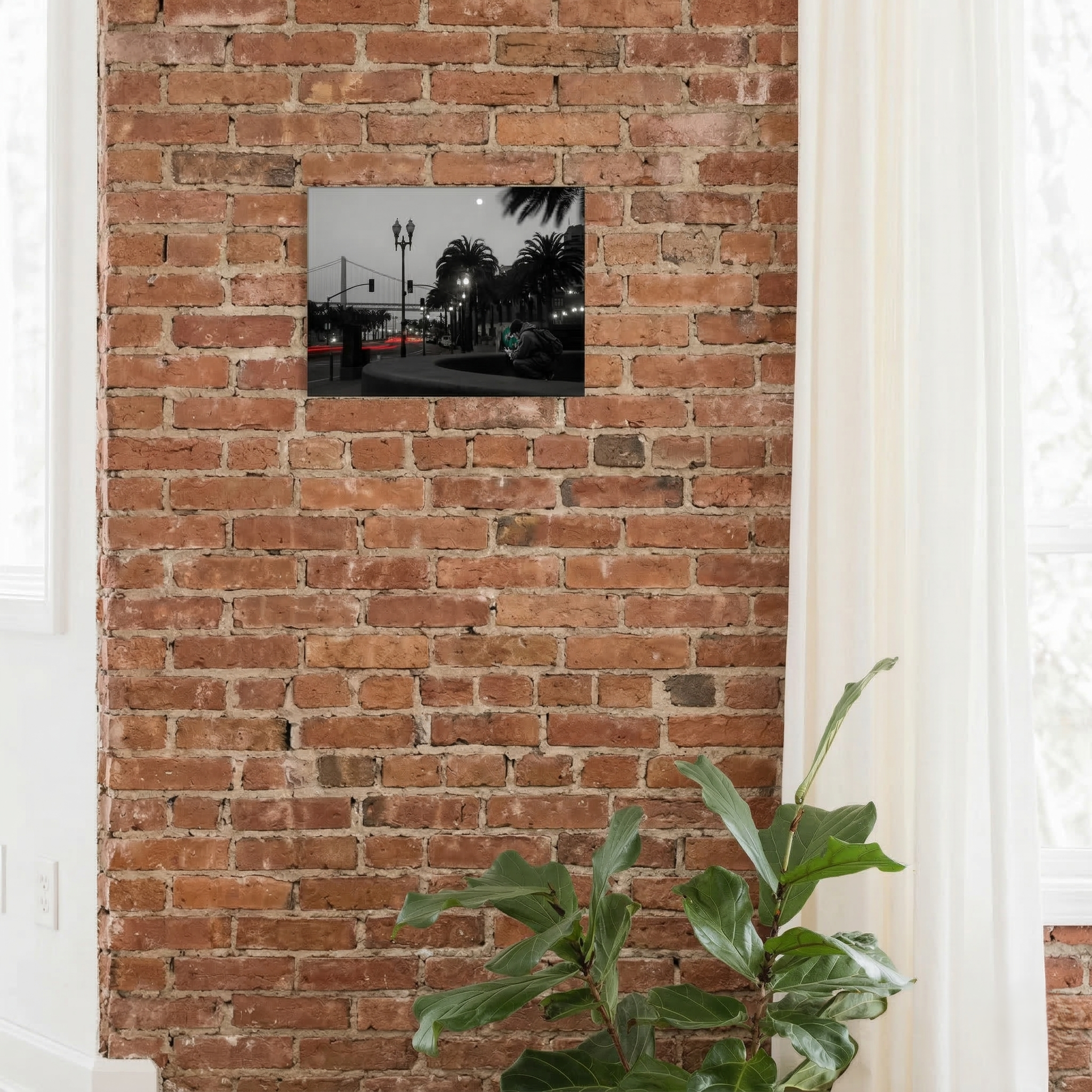 Static & Speed - San Francisco, CA