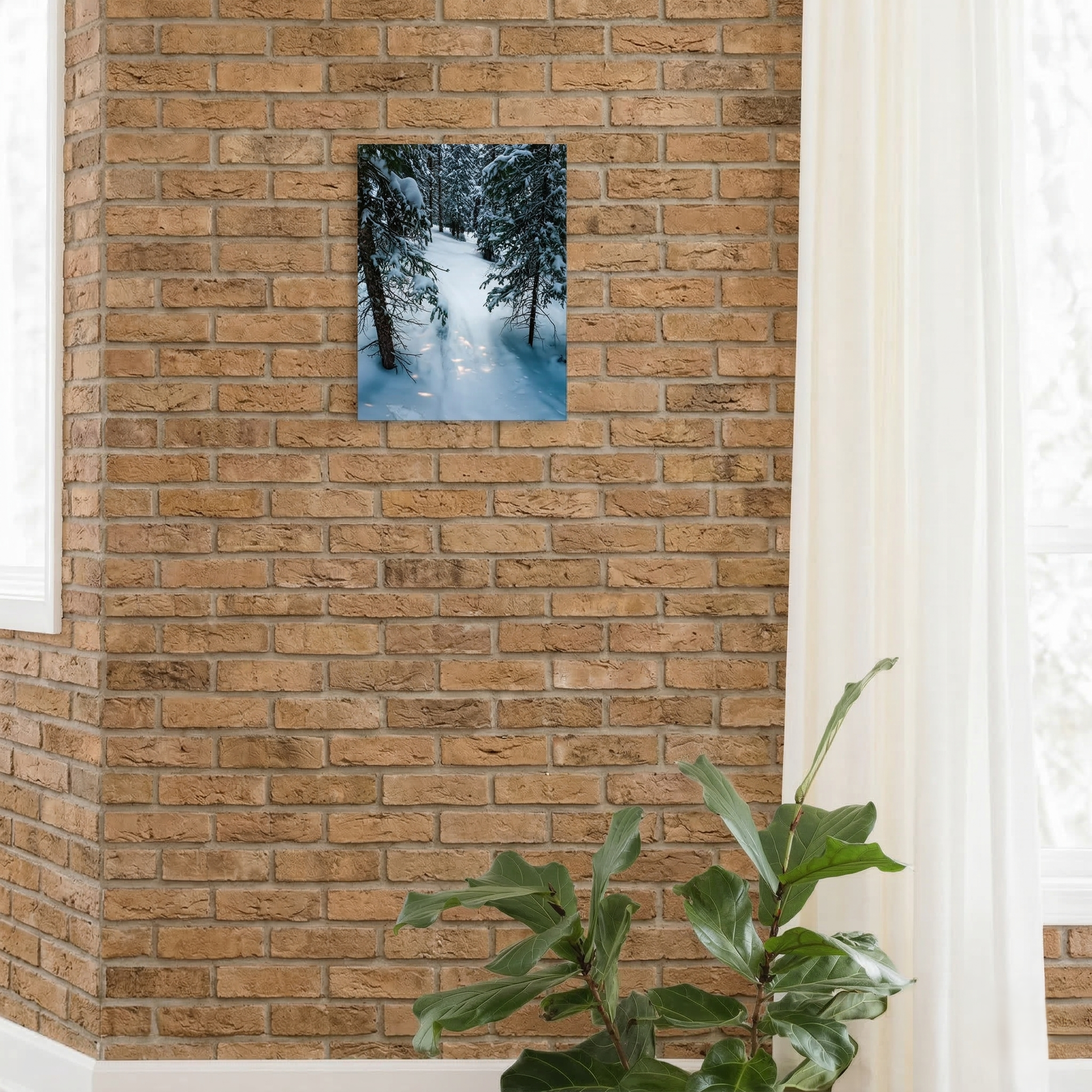 Alpine Silence - Telluride, CO