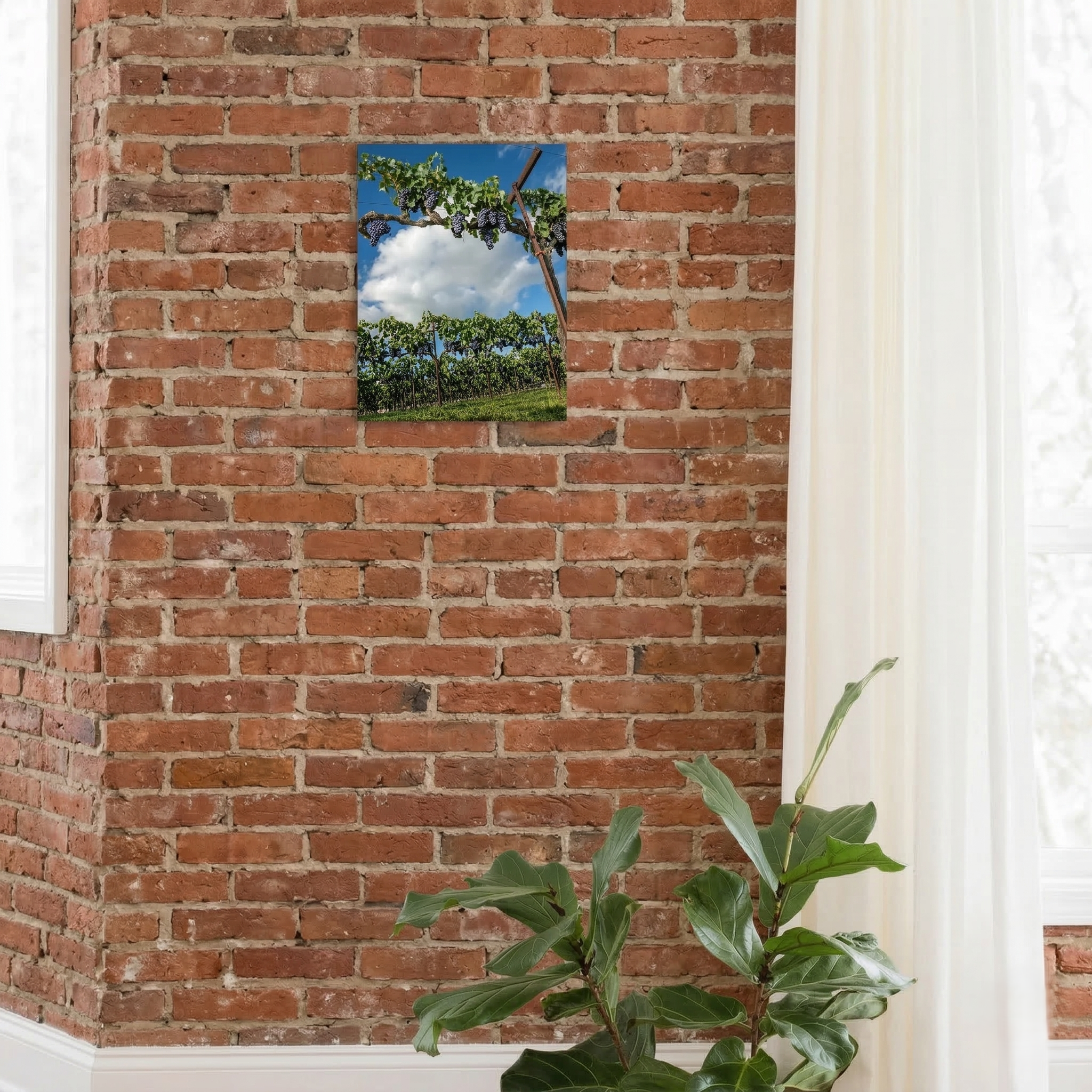 The Vintage Canopy - Lodi, CA