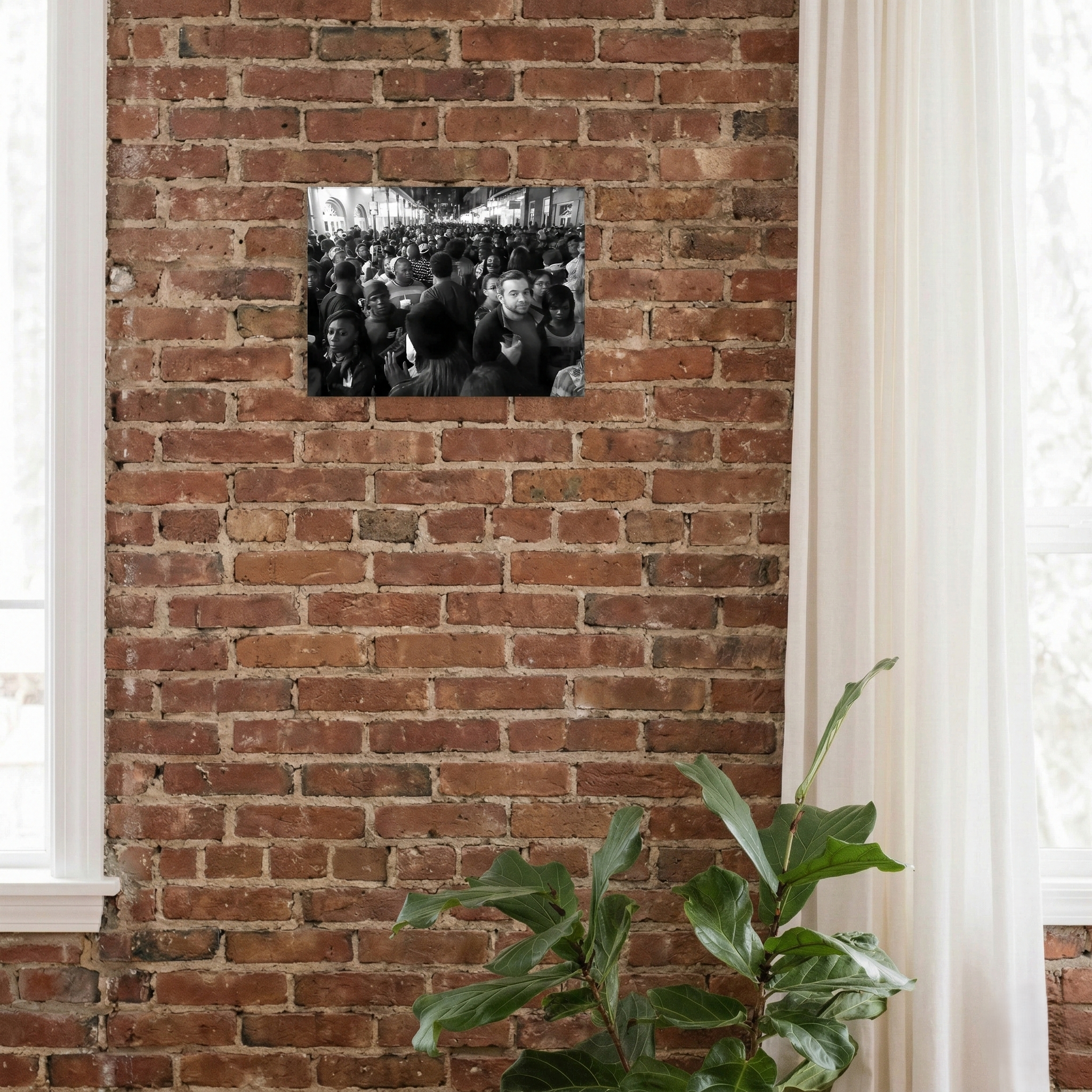 Late Night in NOLA - New Orleans, LA