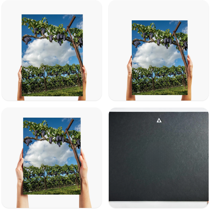 The Vintage Canopy - Lodi, CA