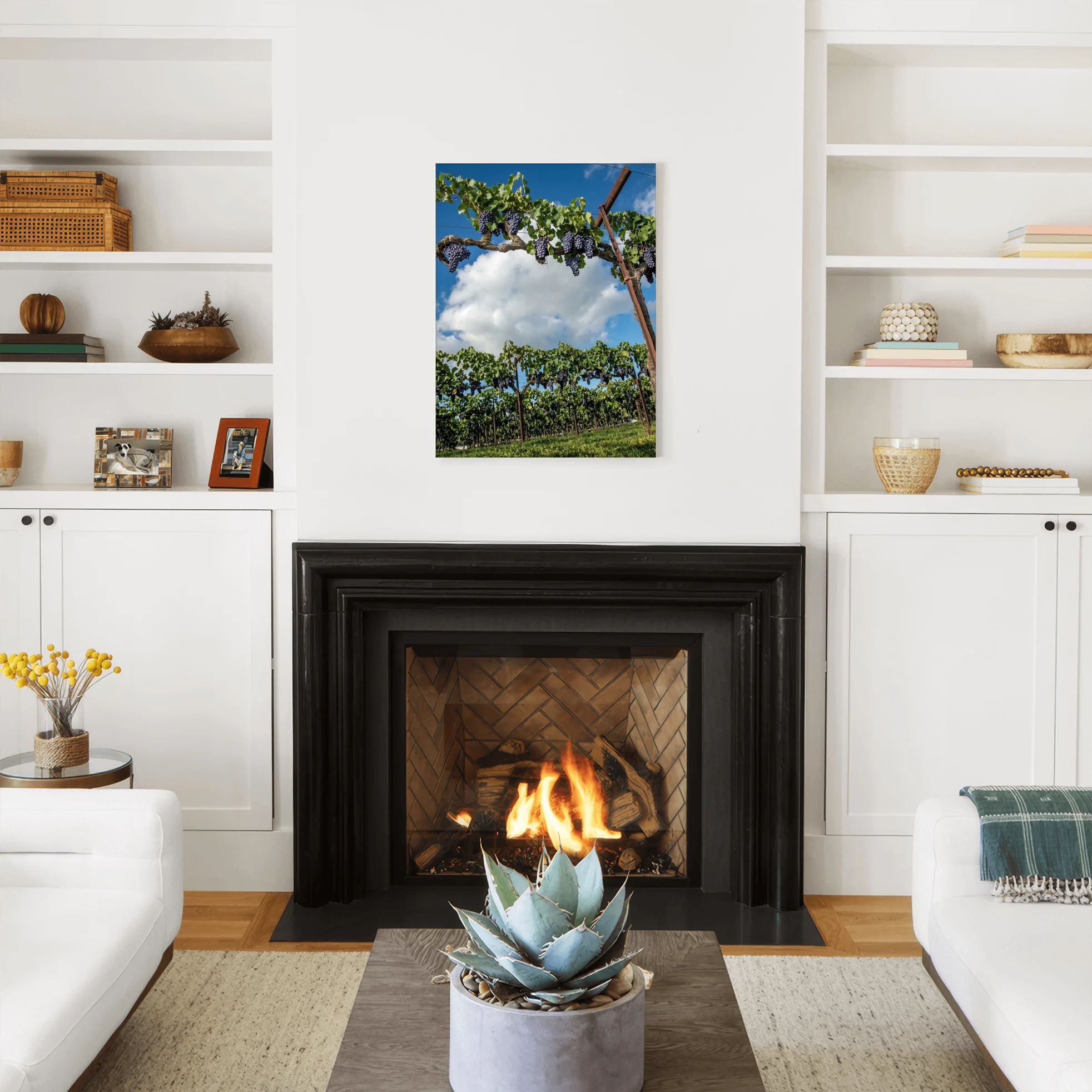 The Vintage Canopy - Lodi, CA