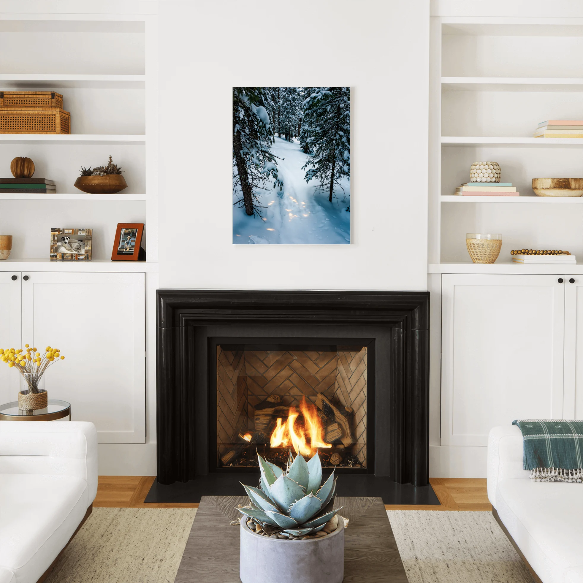 Alpine Silence - Telluride, CO