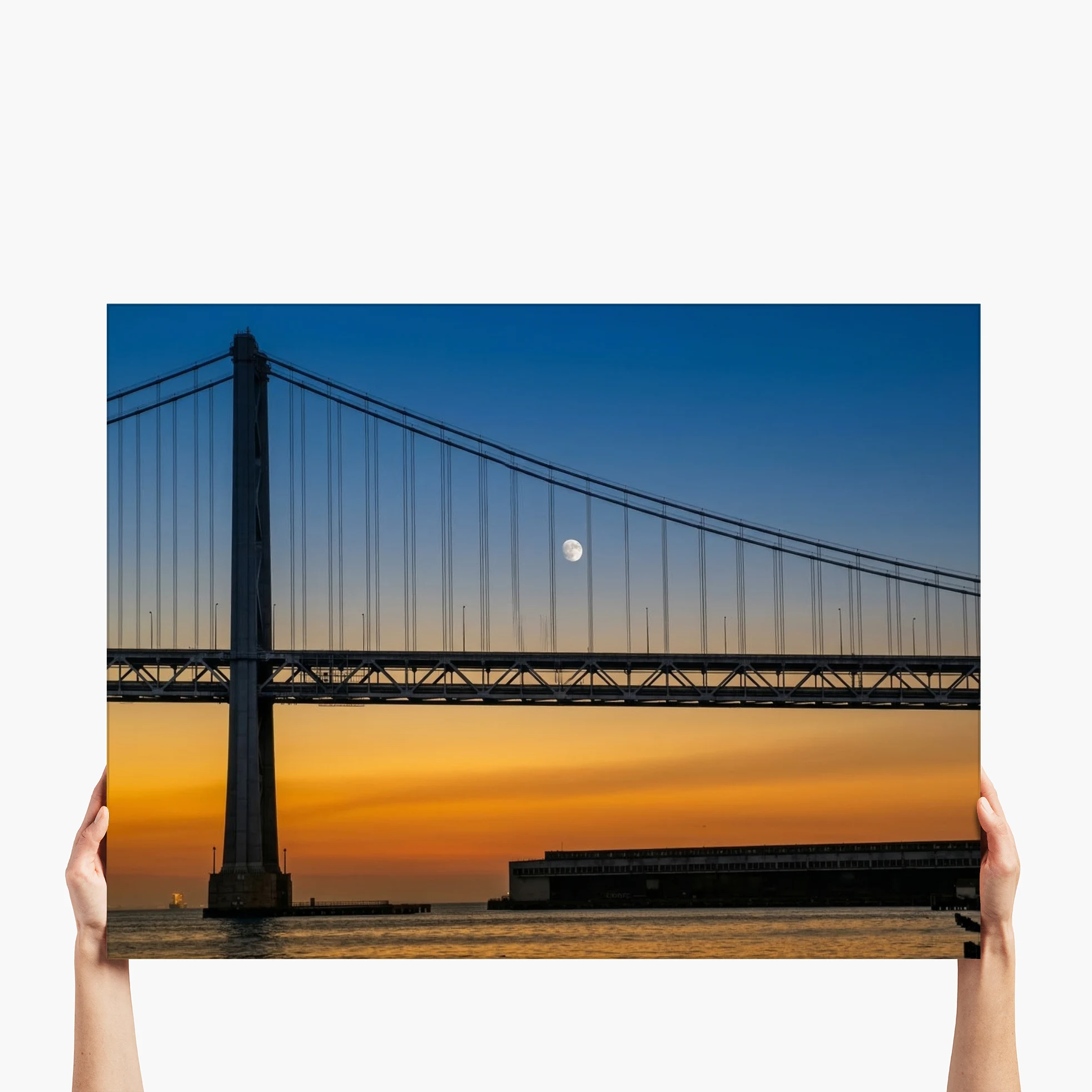 "Lunar Span" - San Francisco, CA
