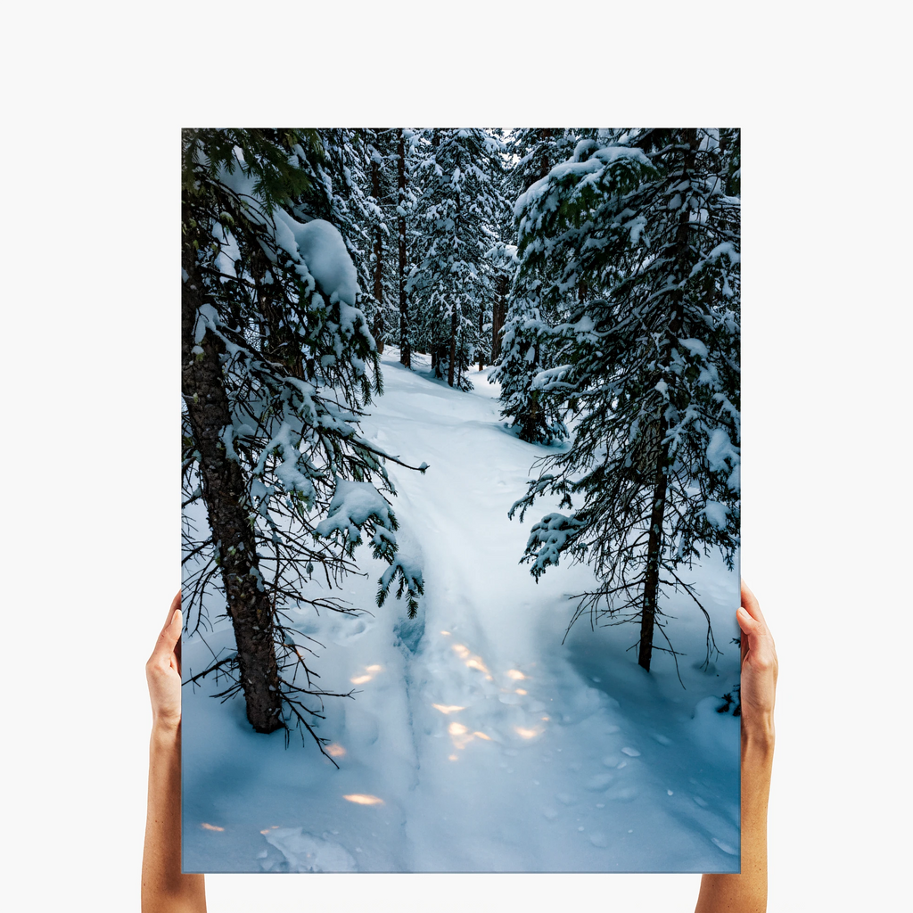 "Alpine Silence" - Telluride, CO