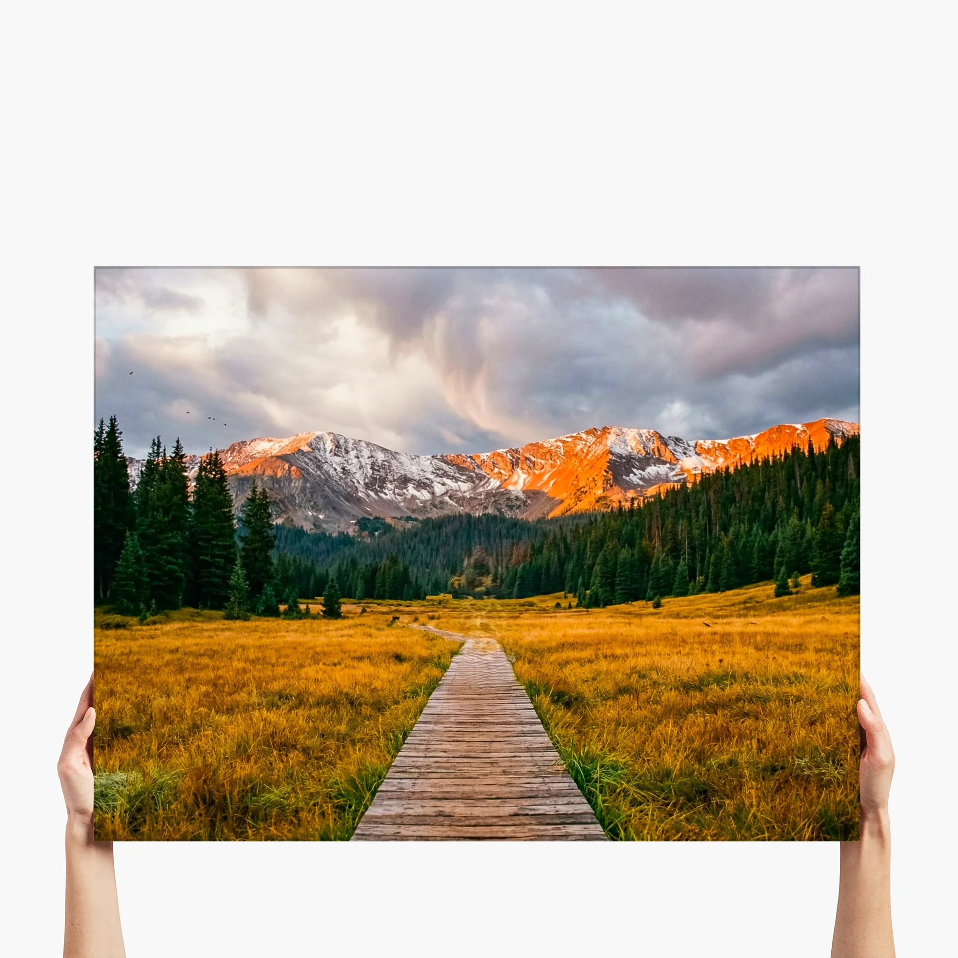 "Boardwalk to Peaks" - Glacier Lake, CO