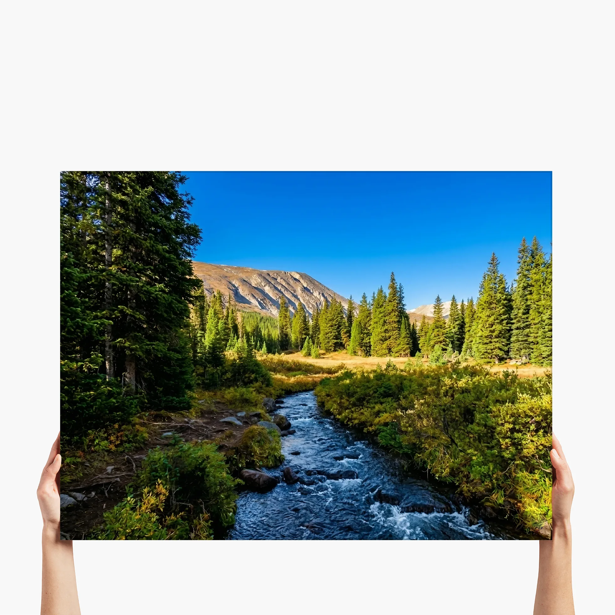 "Glacier Lake Creek" - Idaho Springs, CO