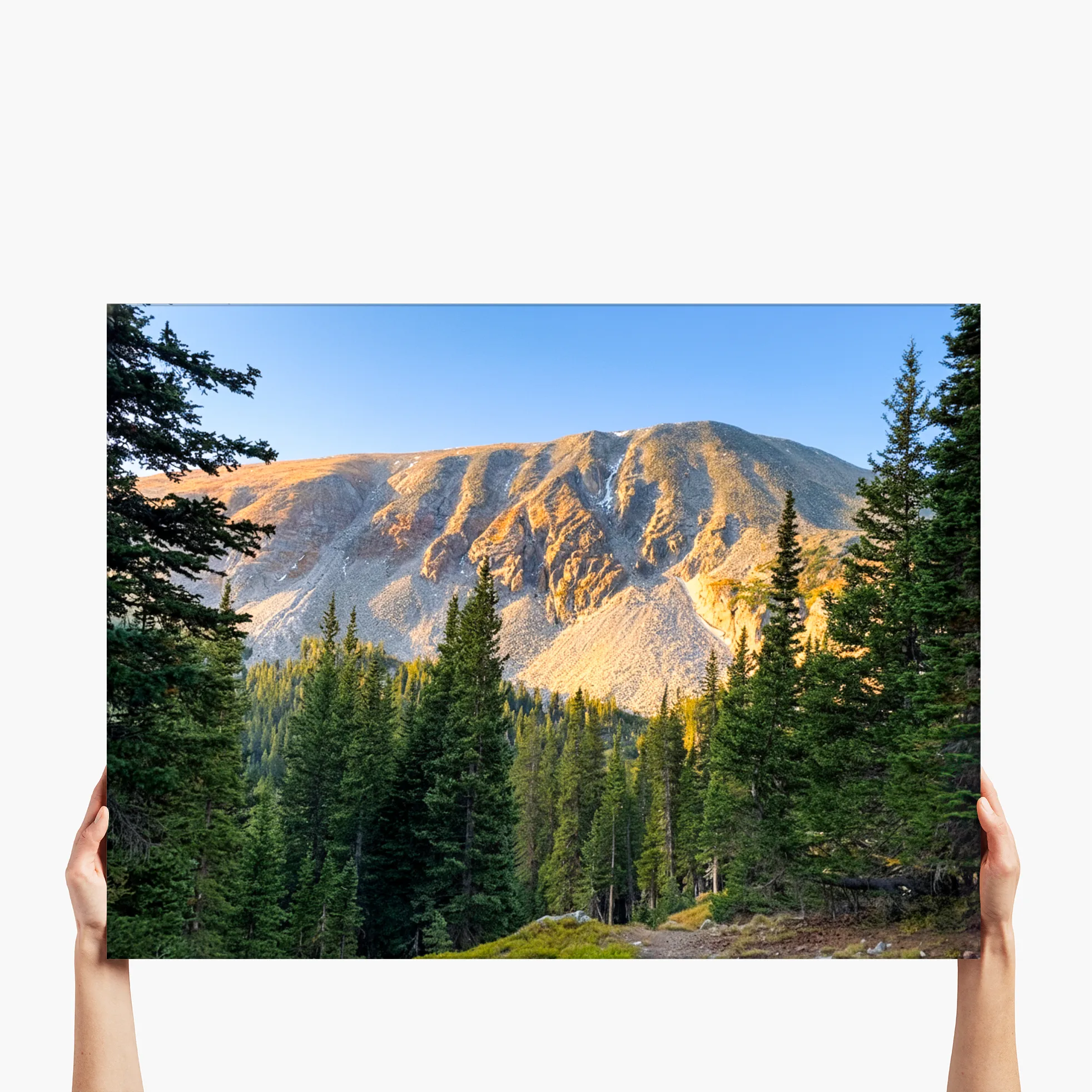 "Timberline Horizon" - Idaho Springs, CO
