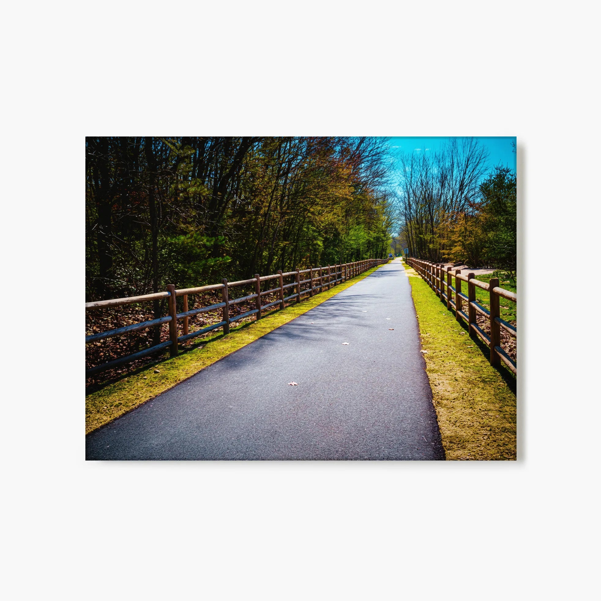 "Fenced Journey" - Manchester, NH