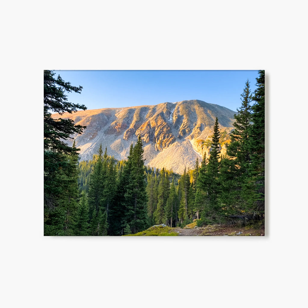 "Timberline Horizon" - Idaho Springs, CO