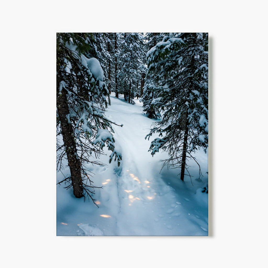 "Alpine Silence" - Telluride, CO