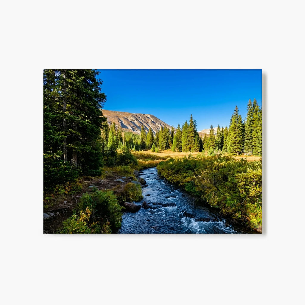 "Glacier Lake Creek" - Idaho Springs, CO