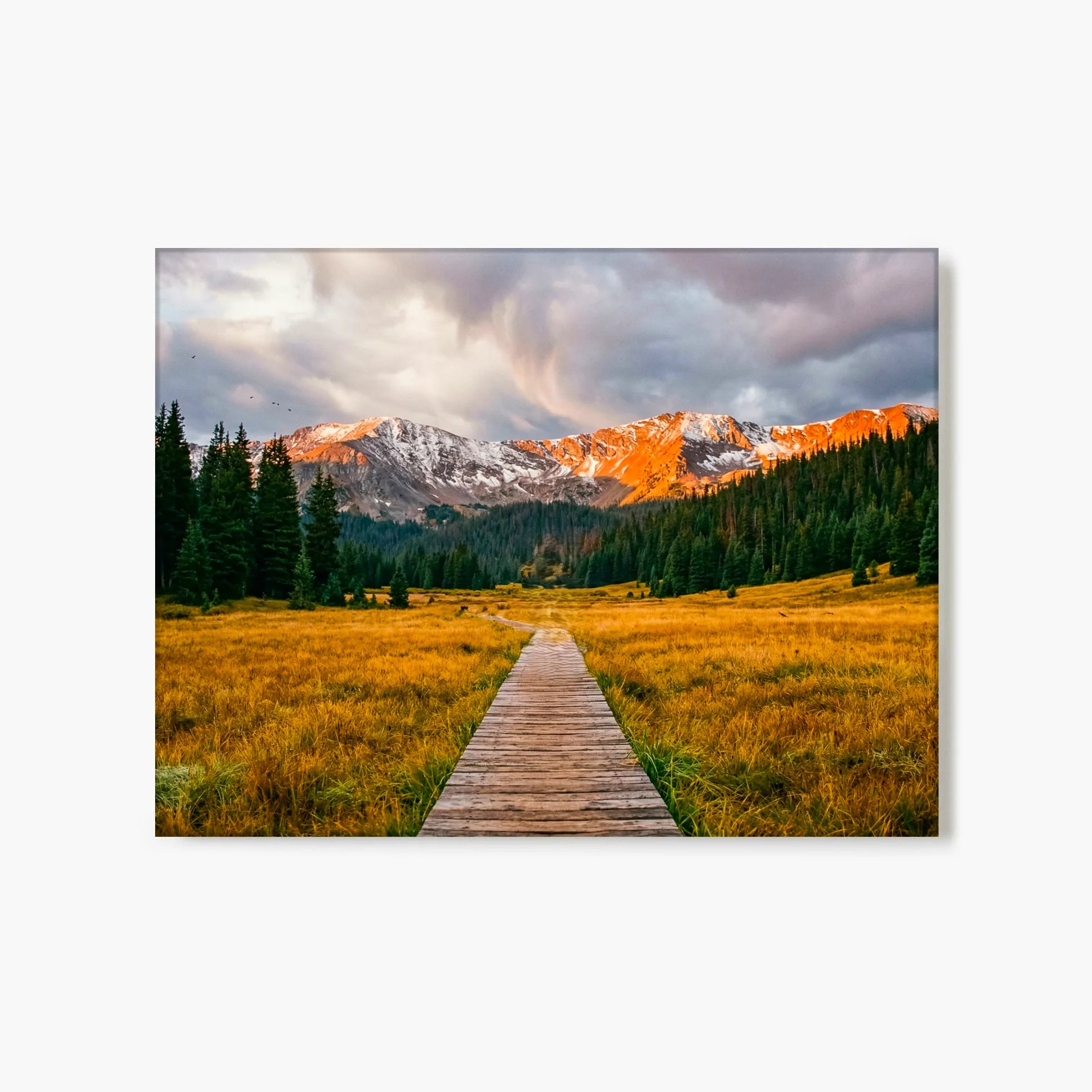 "Boardwalk to Peaks" - Glacier Lake, CO