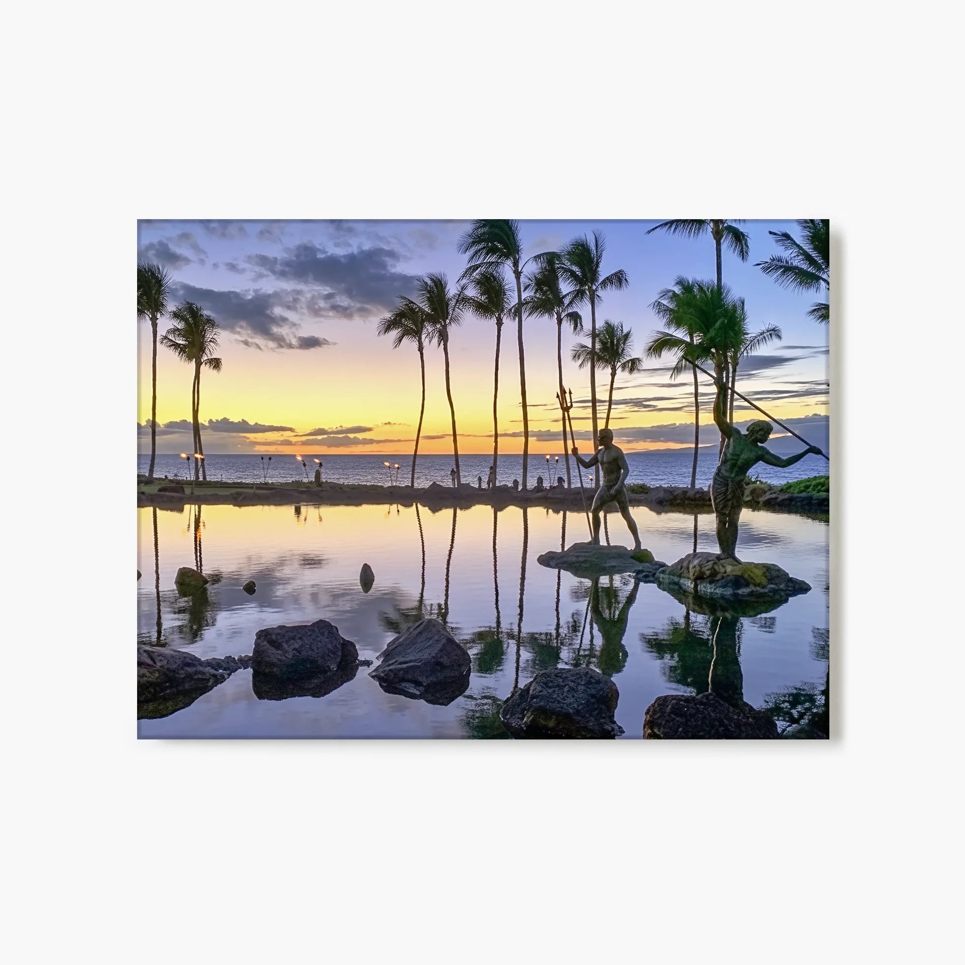 "Sunset Harvest" - Maui, HI