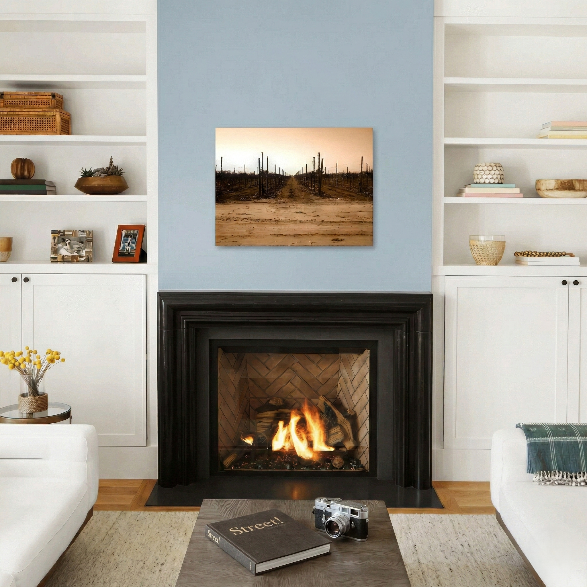 The Vineyard Window - Napa Valley, CA