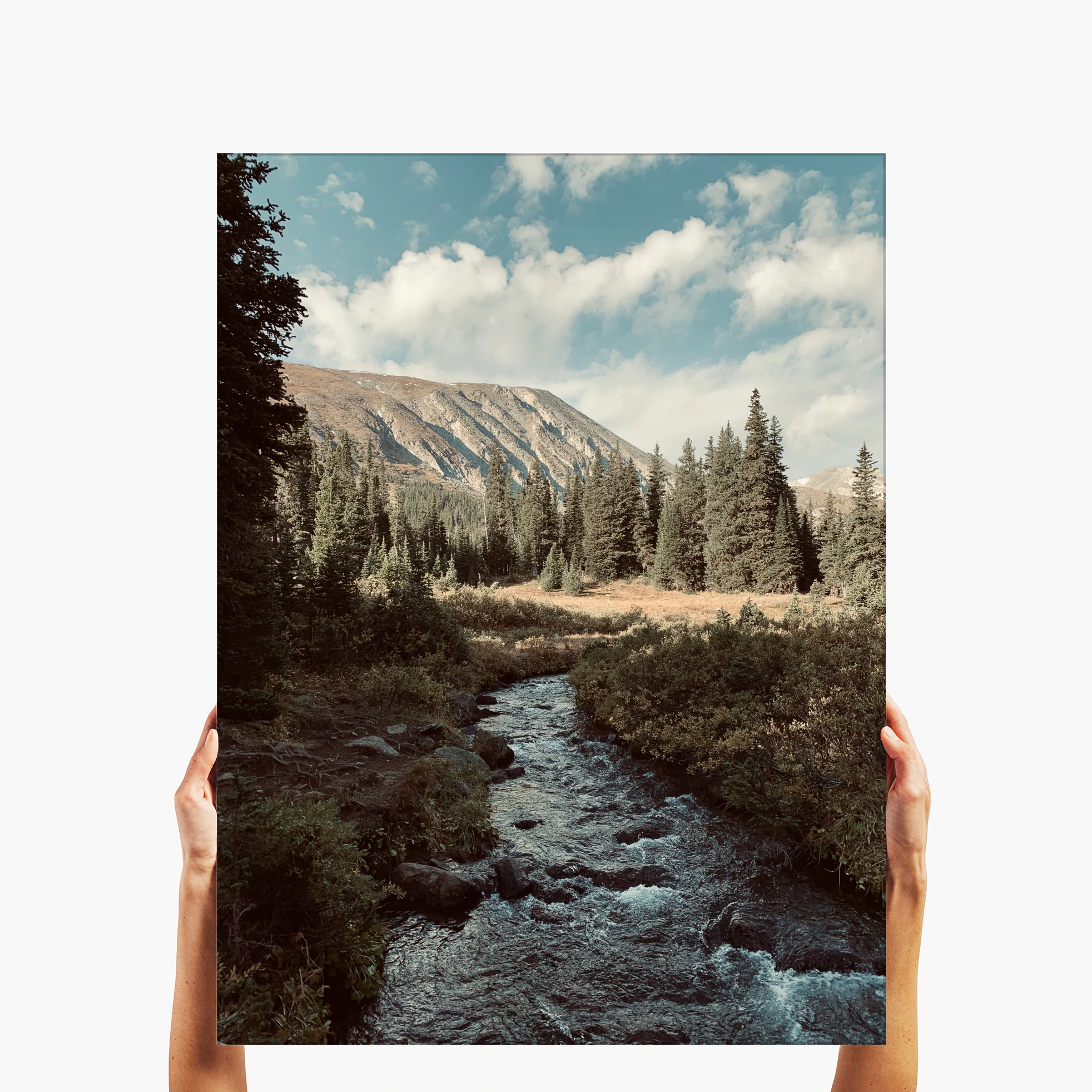 Glacier Lake Stream - Idaho Springs, CO