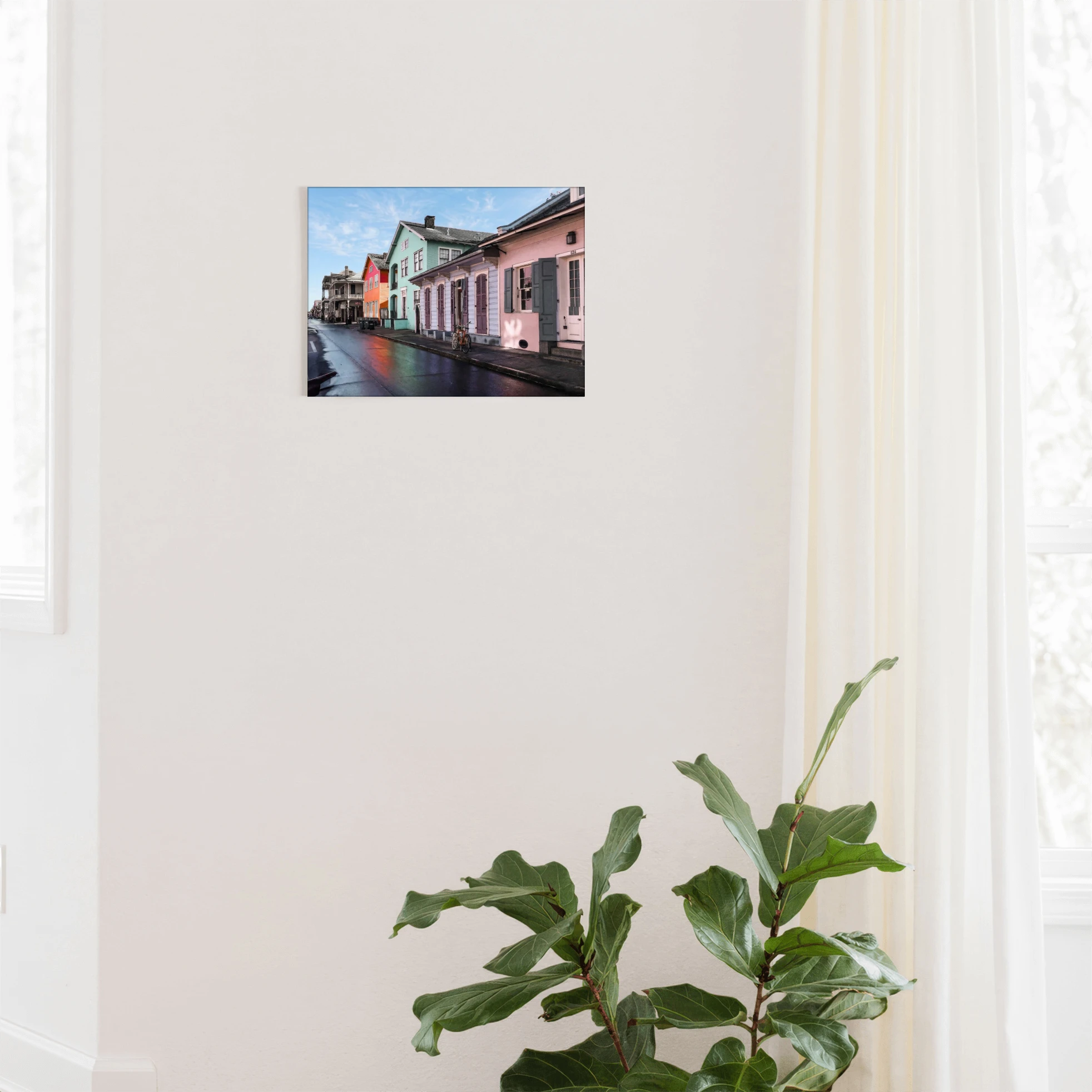 "Reflections of the Vieux Carré" - New Orleans, LA