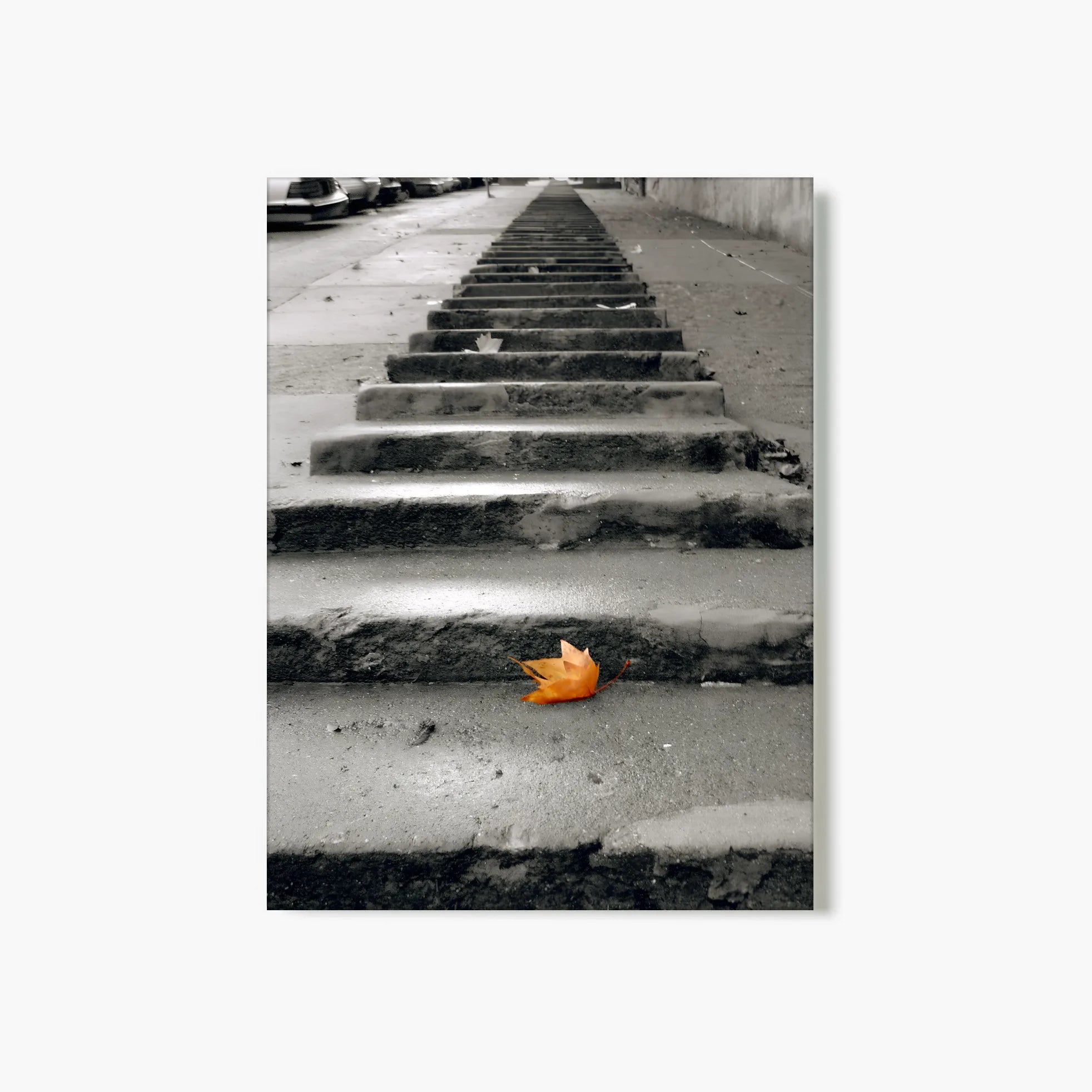 Solo on The Steps - San Francisco, CA