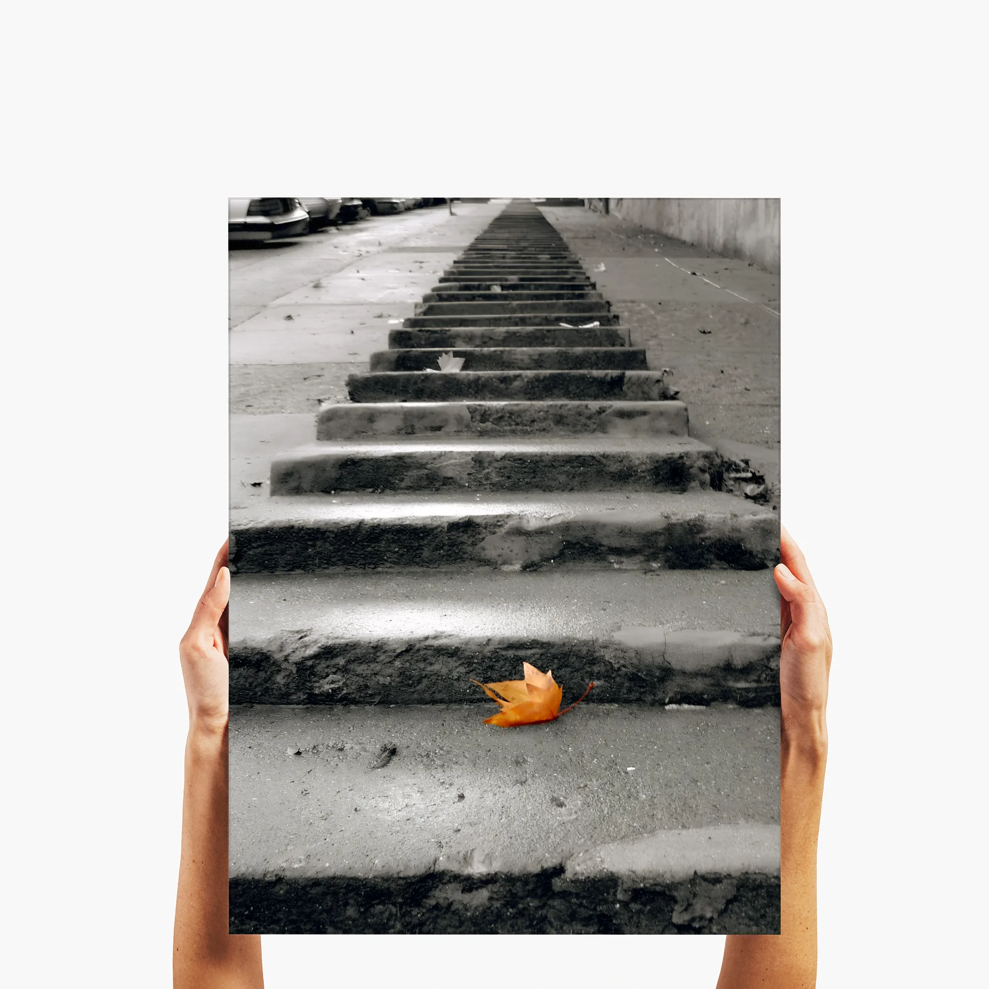 Solo on The Steps - San Francisco, CA