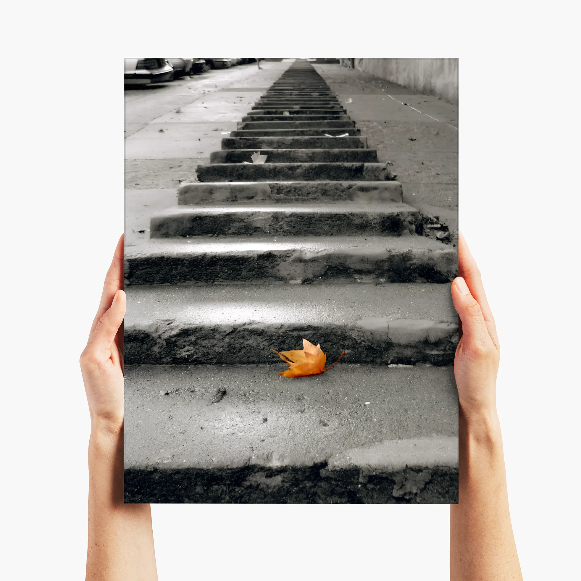 Solo on The Steps - San Francisco, CA