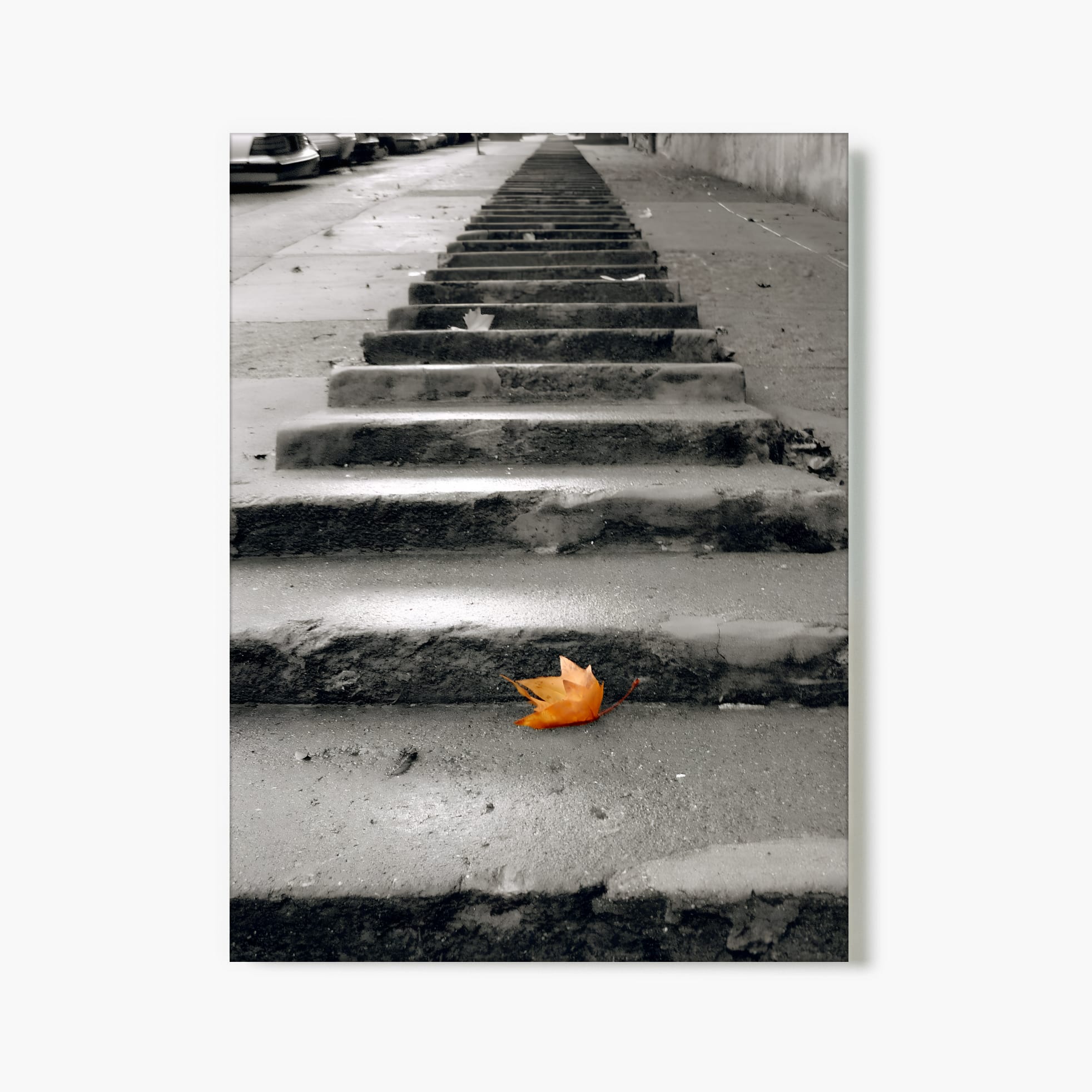 "Alone on Steps" - San Francisco, CA