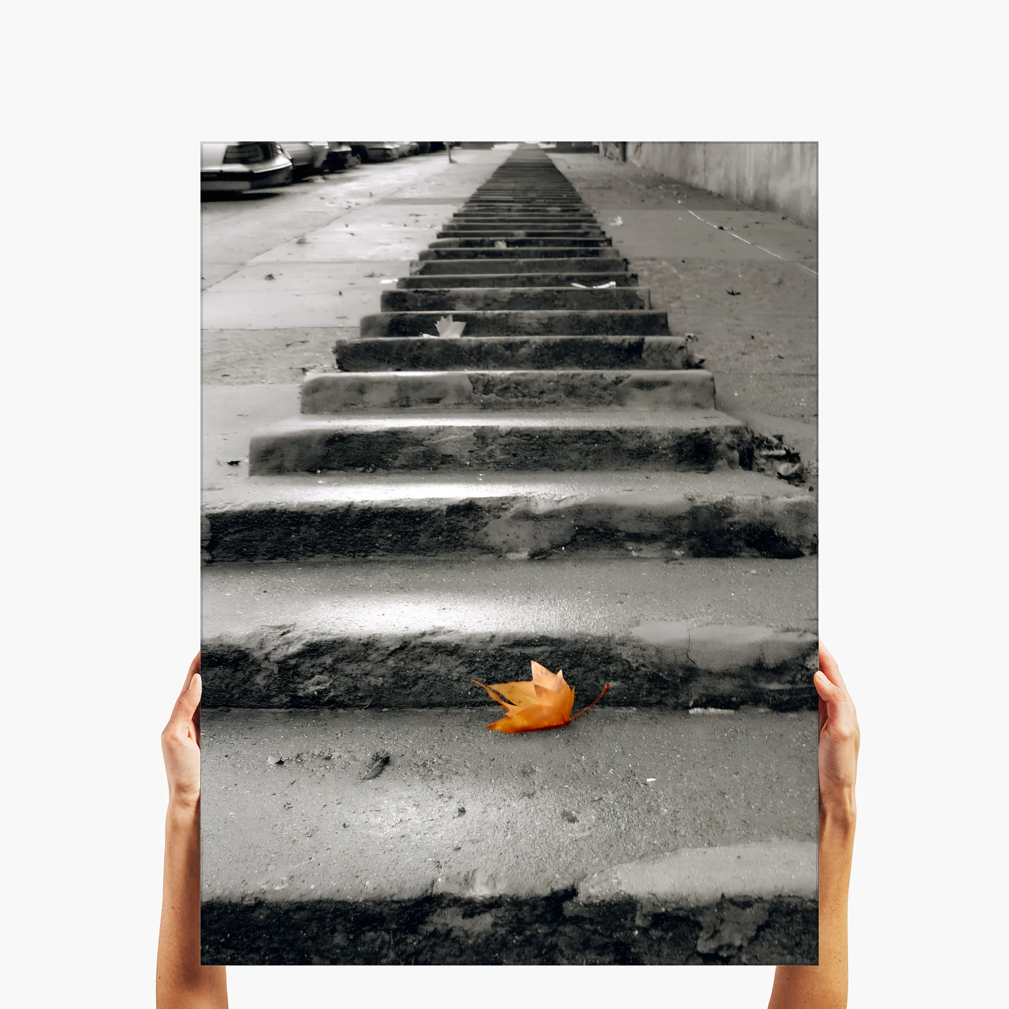"Alone on Steps" - San Francisco, CA