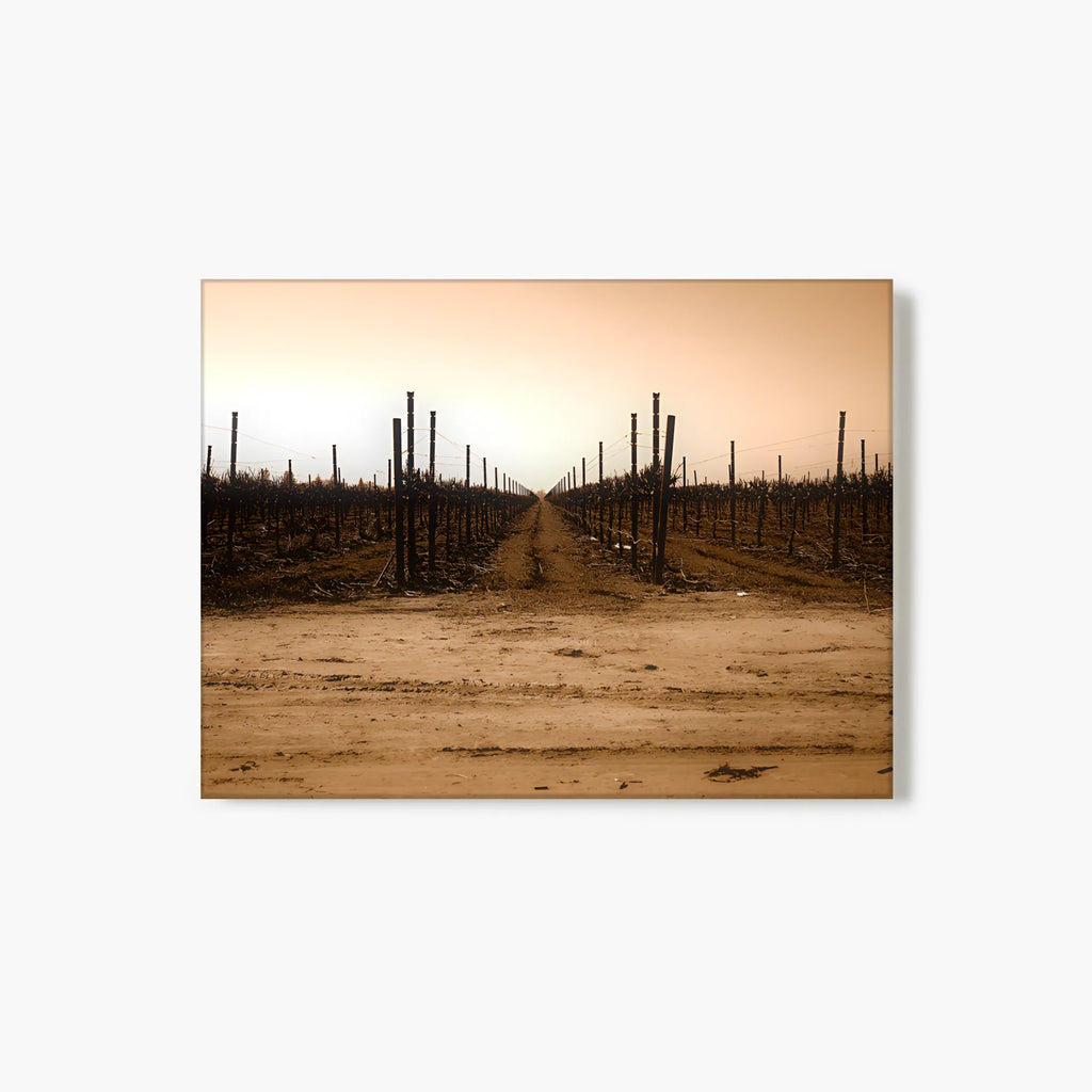 The Vineyard Window - Napa Valley, CA