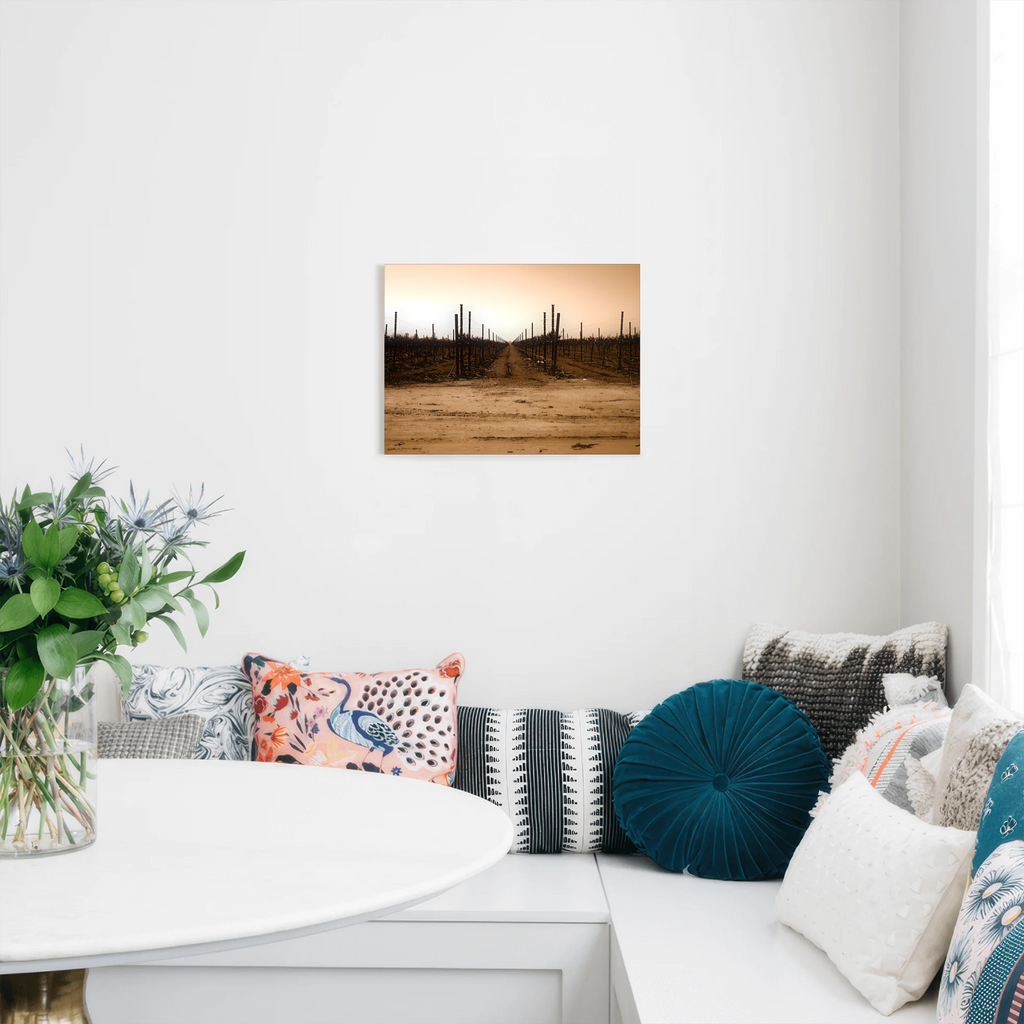 The Vineyard Window - Napa Valley, CA